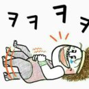 오늘도웃자 Daum카페