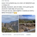 최현승 조율(무한공 | 호주여행 시드니블루마운틴 페더데일 호주무한투어 솔직후기