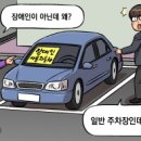 솔로몬자동차 이미지