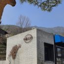 1314 | 하동 화개장터 대형카페 맛집 더로드101 내돈내산 후기(주차, 자리, 할인 꿀팁)