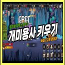 플레이영 이미지