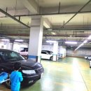 대한키즈 스윔스쿨 동대문 캠퍼스 이미지