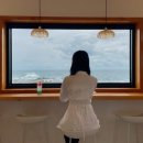 36.오도B 이미지