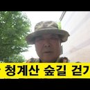 2024/7/11일(목) 의왕 청계산 청계사 사찰 답사 및 숲길 걷기 이미지