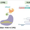 프라임개발 이미지