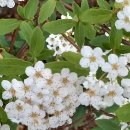 영창경로당 이미지