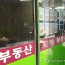 남향 이미지