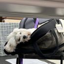 멈무유치원 이미지