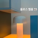 벨홉 이미지