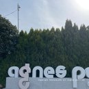 주식회사 미주팜 | 카페기록 670. 거제 둔덕면카페 복합문화공간, 숙소 전시 그리고 카페까지! 아그네스파크 agnes park