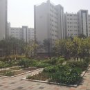 원세류경로당 네이버블로그