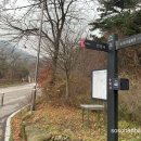 수덕사 진입로 이미지