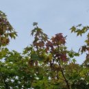 영양에코둥지 이미지