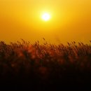 아침마다 허리·엉덩이 통증 있으면 의심 (척주 관절염) 이미지