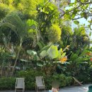 더소울 | 발리 짱구 비치 아파트먼트/ 더 소울하우스 발리 내돈내산 솔직후기