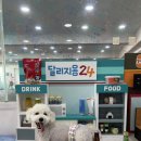 오정유치원 | 부천 무인애견운동장 달리지용 24시 애카 반려견 포토존 후기