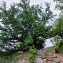 역고개농장 이미지