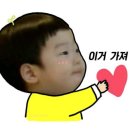 이배우