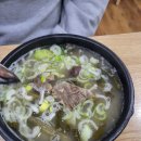 청수호수공원주차장 | 2025 벚꽃 구경! (동학사 벚꽃 vs 청수호수공원 벚꽃)