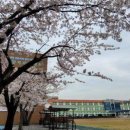 희양중학교 이미지