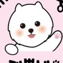 개뽐네 이미지