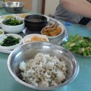 당포보리밥 Daum카페