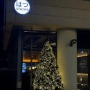 주나도리(주)세시서 | 창원 상남동 안주맛집 이자카야 하츠 はつ