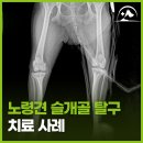 해오름 동물병원 이미지