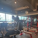 더핏짐PT 이미지