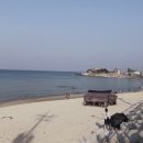 자연산횟집2 이미지