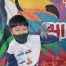 로뎀나무어린이집 이미지