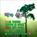 곱다 이미지