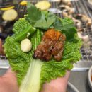 왔다강장어 | 외식장소로 좋은 남양주 맛집 천마산강장어