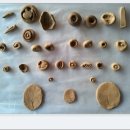 에스더하우스 이미지