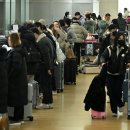 다반사 이미지