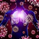 가메조네 이미지