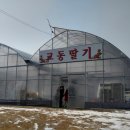 원팜 네이버블로그