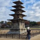 기배동주민센터 5층 | 송민준 행사 후기 - 부여밤 길따라 함께하는 음악회 &amp; 부여 당일치기