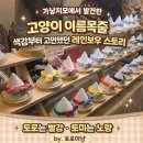 뽑기 스토리 | 가낳지모 후기｜NEKKO&amp;TORO 뽑기 간식부터 레인보우 스토리 고양이 이름목줄까지