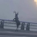 내인생에서 이딴 계절 처음봐