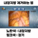 요즘 유행하는 대창 asmr 보고 대창 먹는 여시들 없길 바라면서 쓰는 글........... 이미지