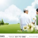 의암댐길 이미지