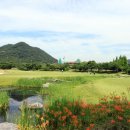 용원컨트리클럽 이미지