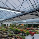 장안꽃시장 이미지