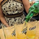 일품김천축산물판매장 | 강남 와인모임하기 좋은 논현축산물판매장 고기집 냉부차 식당에서 콜키지프리