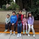 아들 며느리가 보내 준 여행 이미지