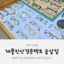 시선안경콘택트 | 전주안경점 채플린 안경 콘택트 렌즈 맞추러 다녀온 후기