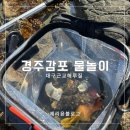 경주 감포 송대말등대 해루질 스노클링 아이와 물놀이 주차 준비물