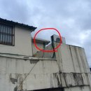 온천3동-17 이미지