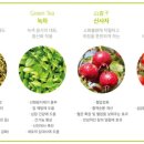 온성에너지 이미지